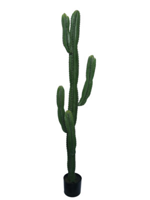 Διακοσμητικό φυτό Cactus I σε γλάστρα Inart πράσινο pp Υ155εκ 1 τμχ.